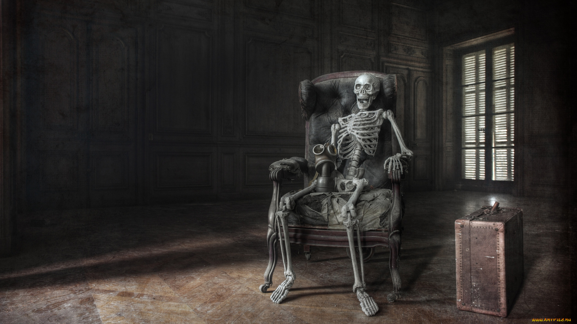 разное, кости, , рентген, кресло, скелет