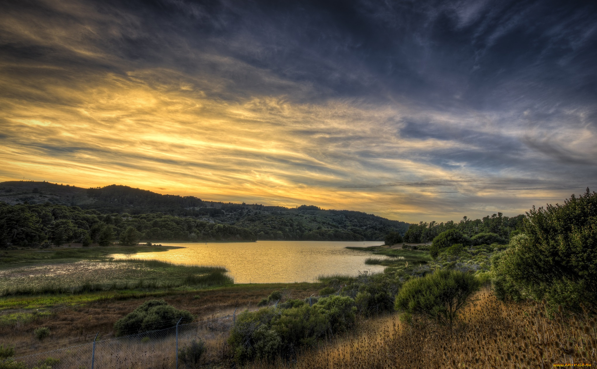 природа, реки, озера, река, тучи, деревья, трава