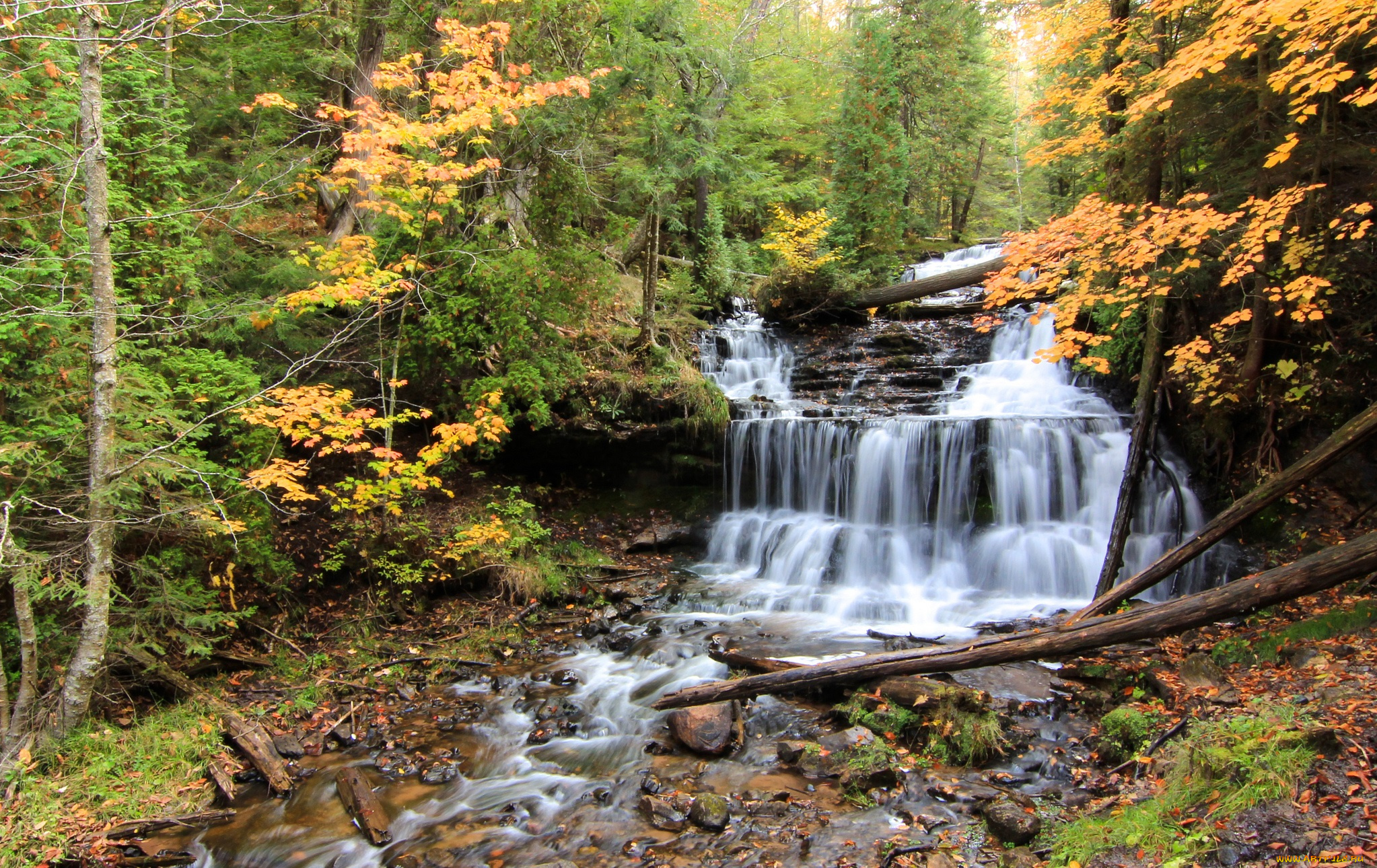 природа, водопады, каскад, водопад, река, лес