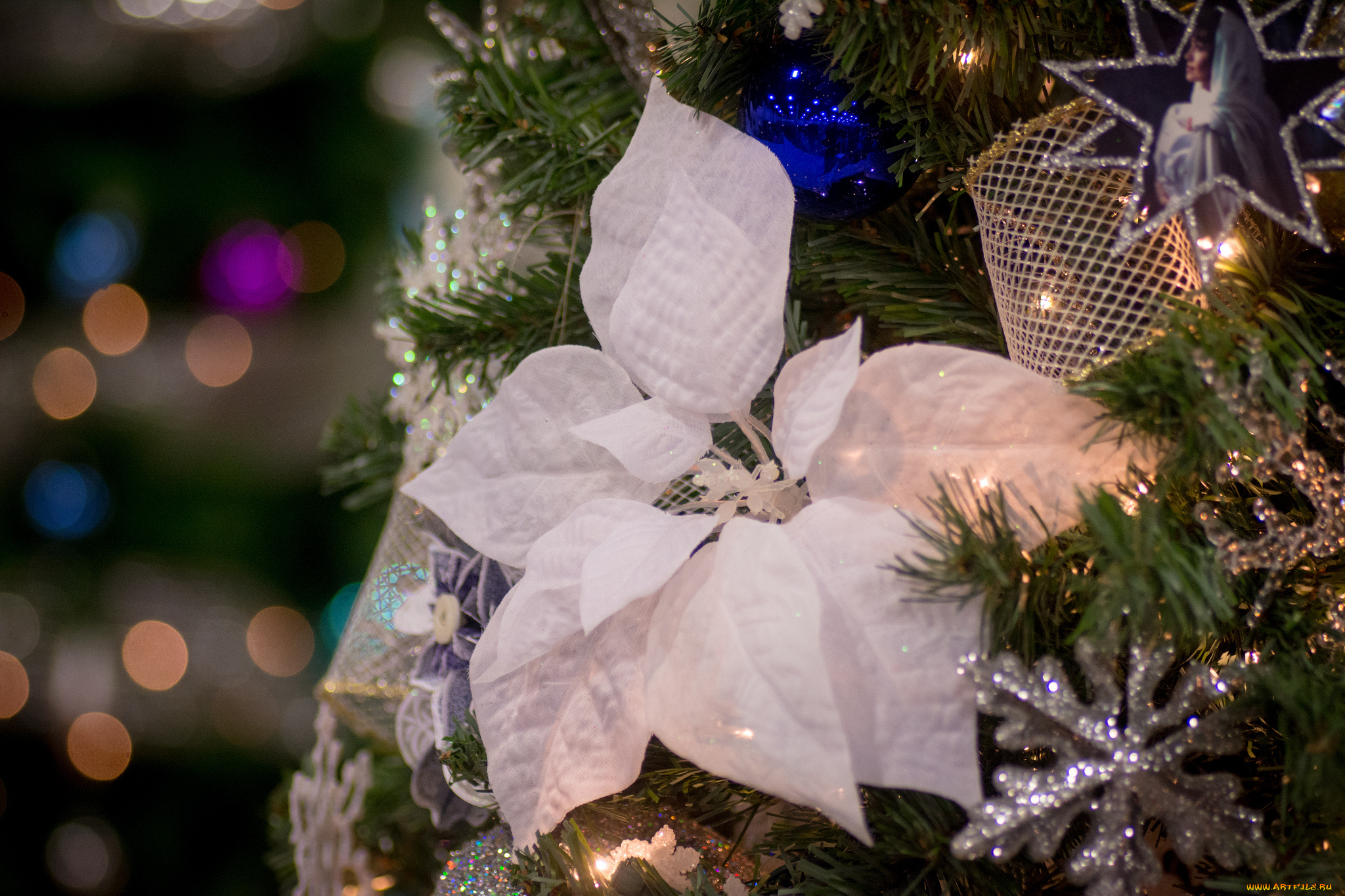 праздничные, мишура, , гирлянды, , цветы, пуансеттия