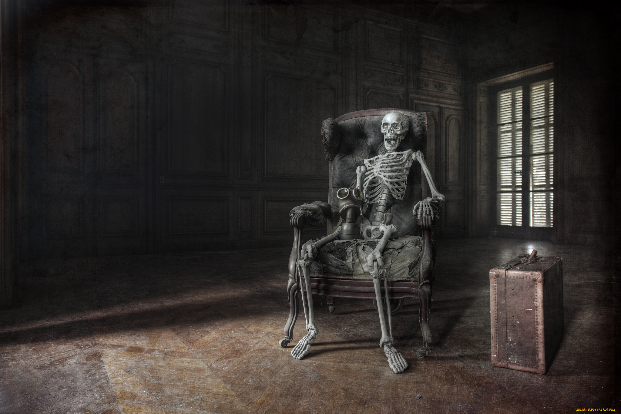 разное, кости, , рентген, кресло, скелет