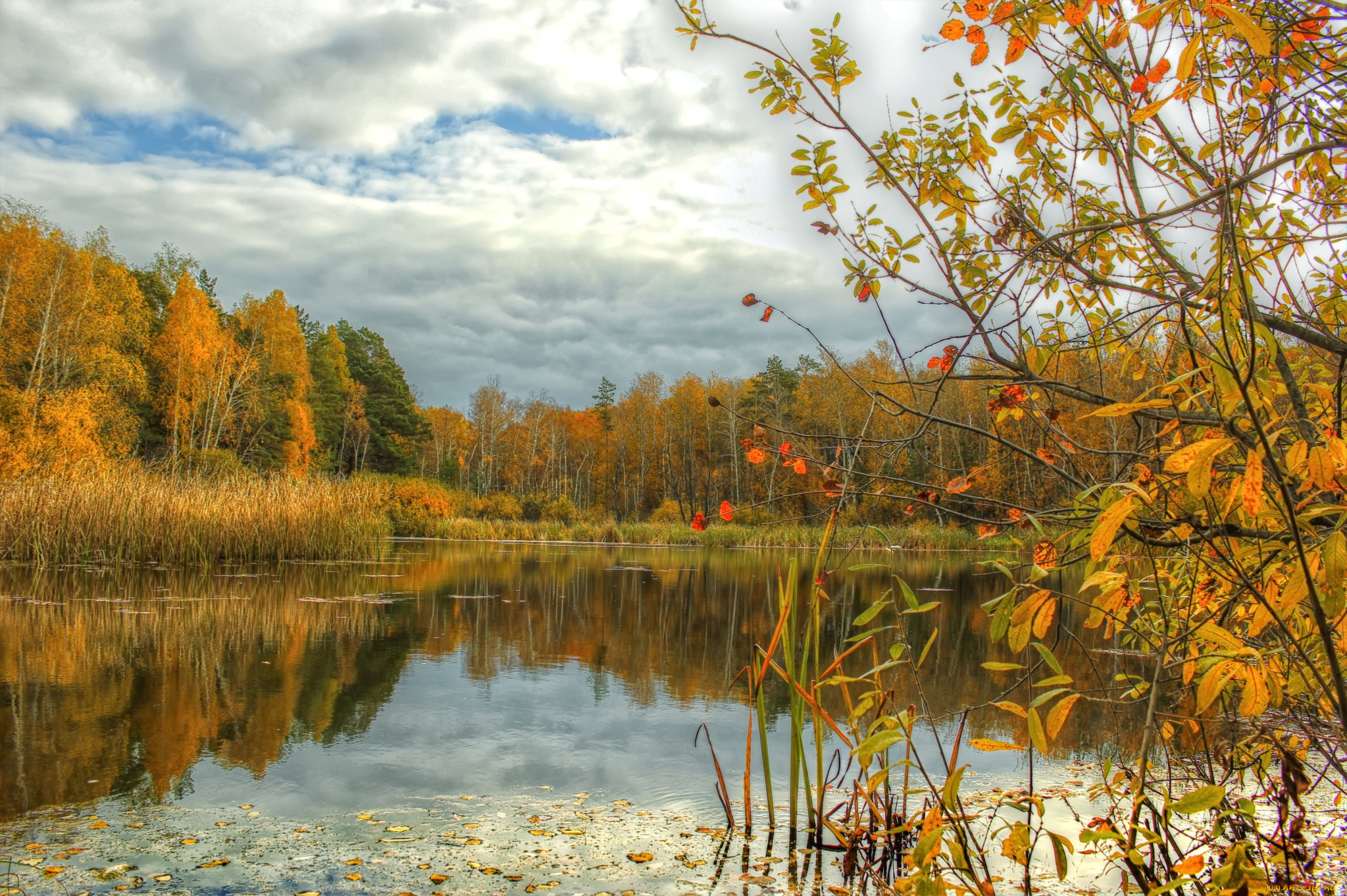 природа, реки, озера, осень