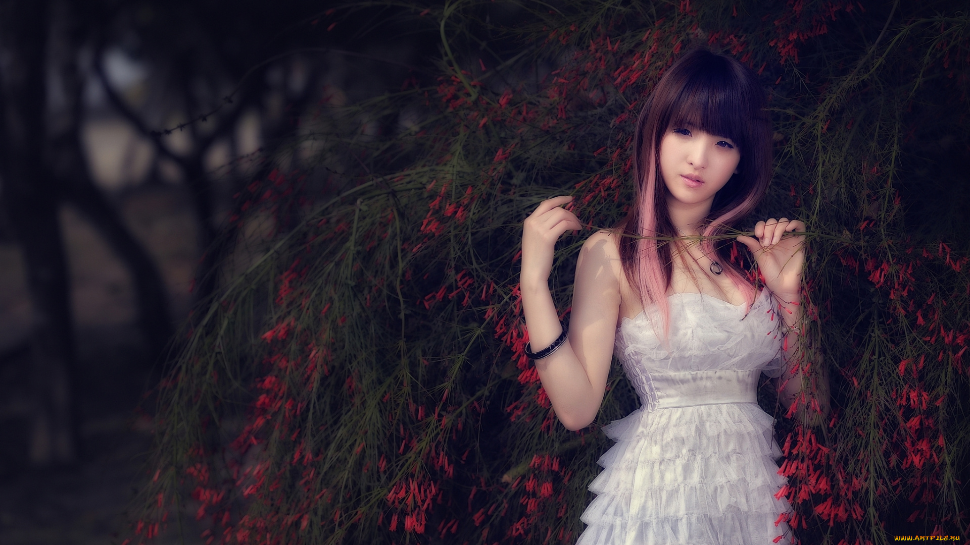 девушки, -unsort, , азиатки, лицо, взгляд