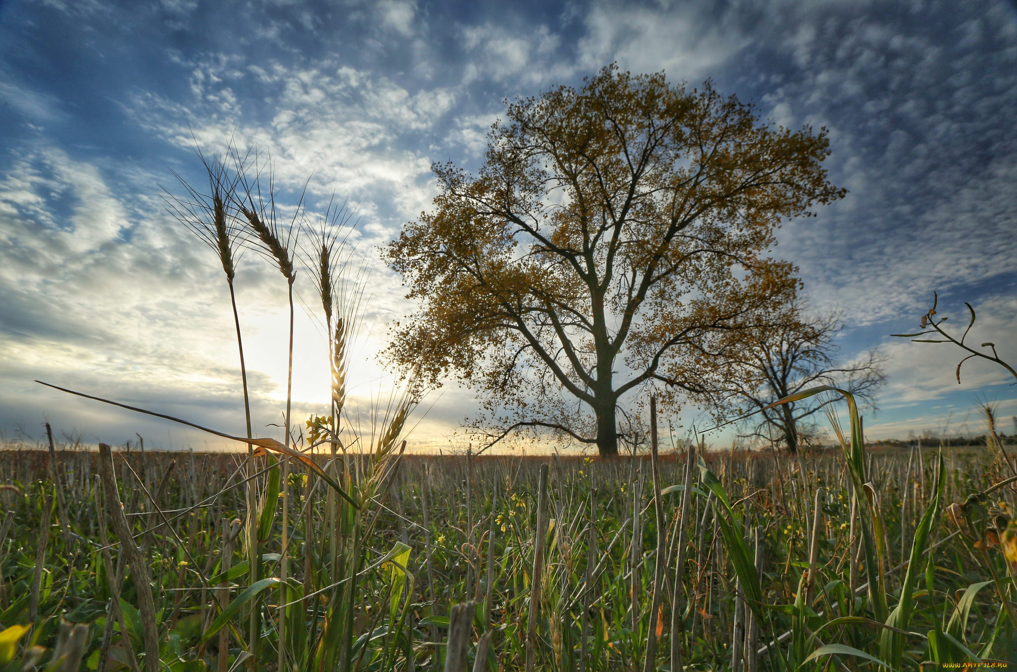 природа, восходы, закаты, рассвет