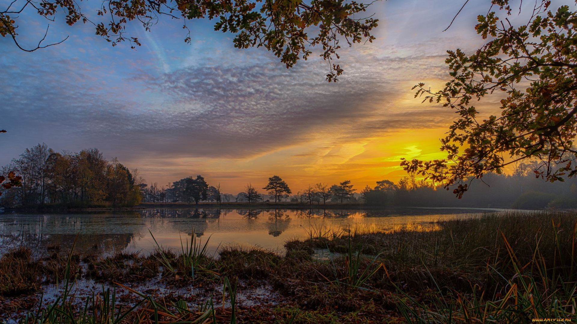 природа, реки, озера, река, лес