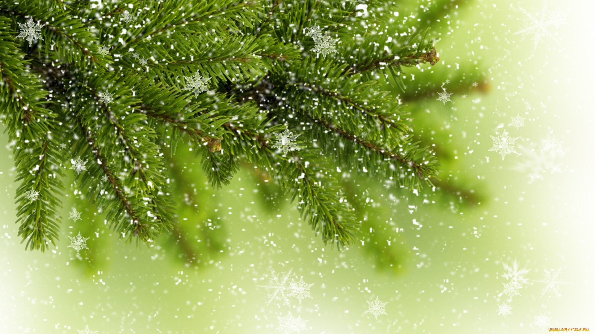 праздничные, -, разное, , новый, год, праздник, новый, год, фон