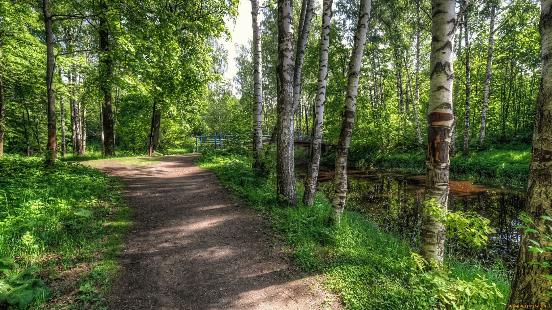 природа, дороги, простор