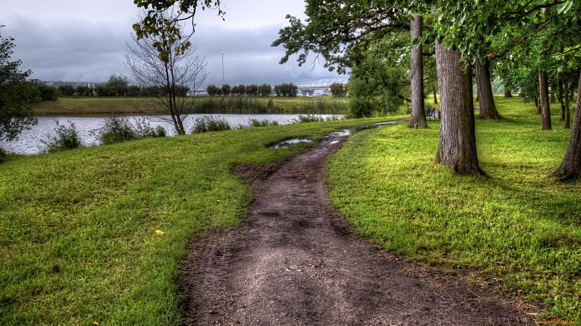 природа, дороги, простор