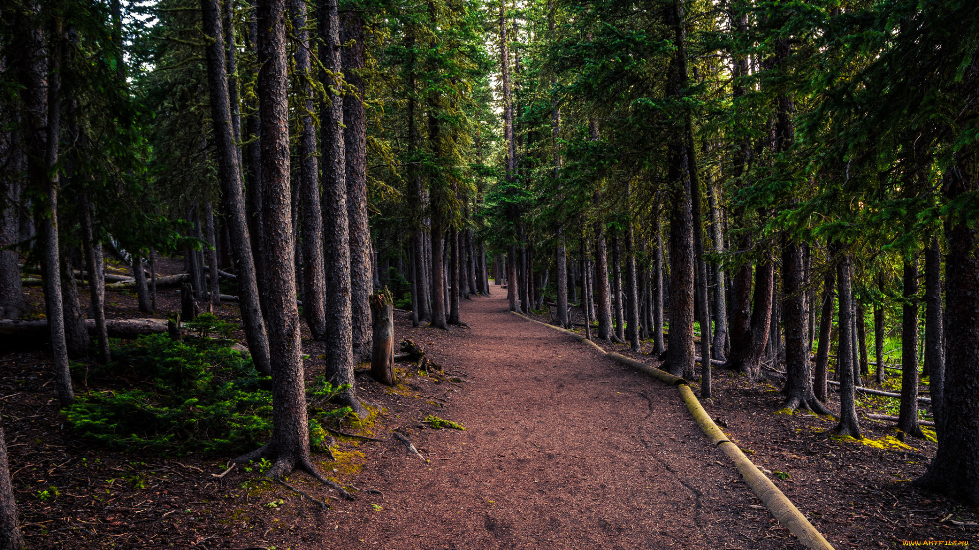 природа, дороги, простор