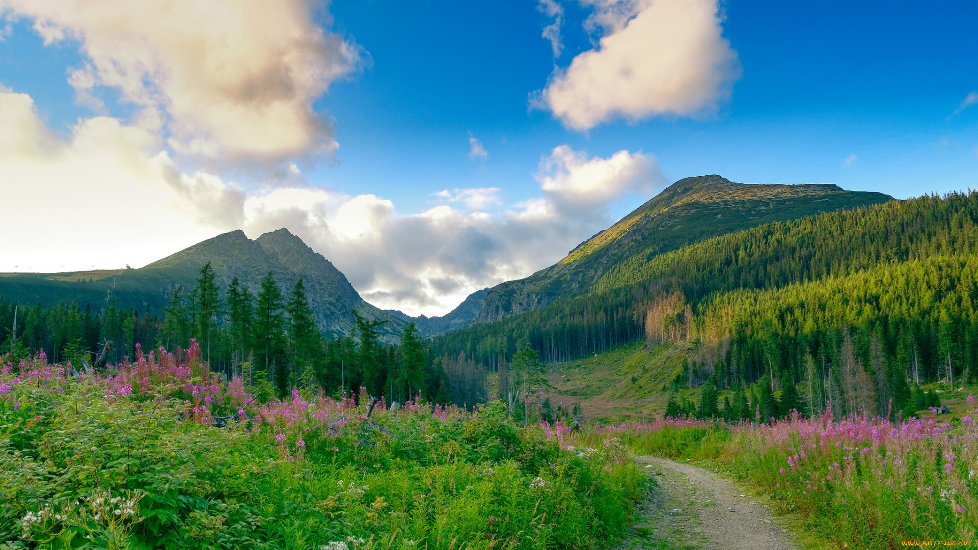 природа, дороги, простор