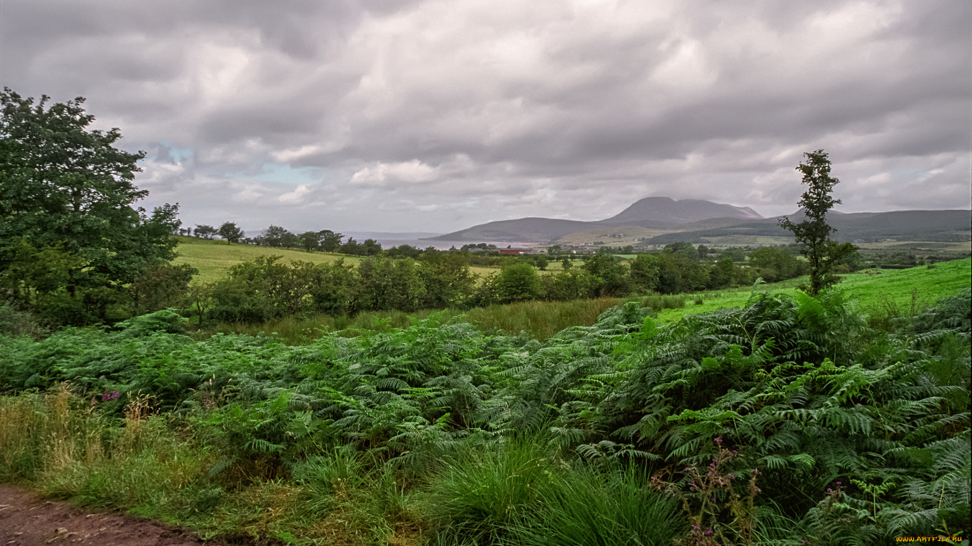 природа, пейзажи, простор