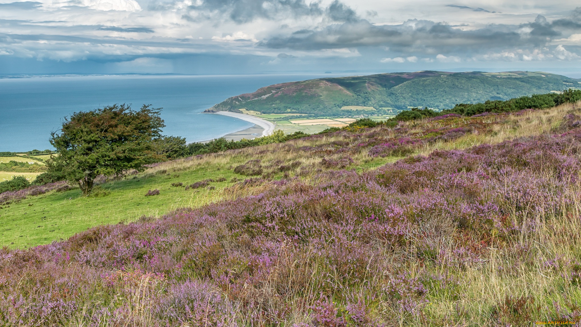 природа, пейзажи, простор