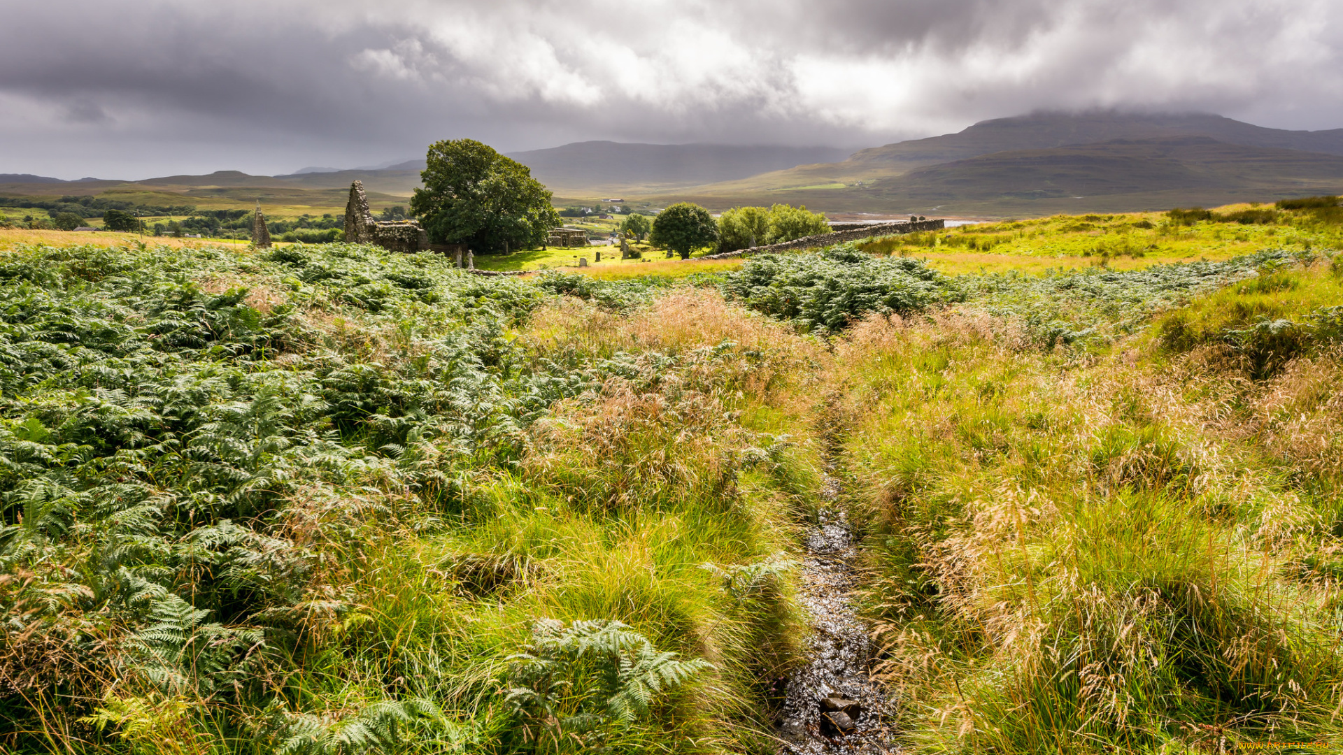 природа, пейзажи, простор