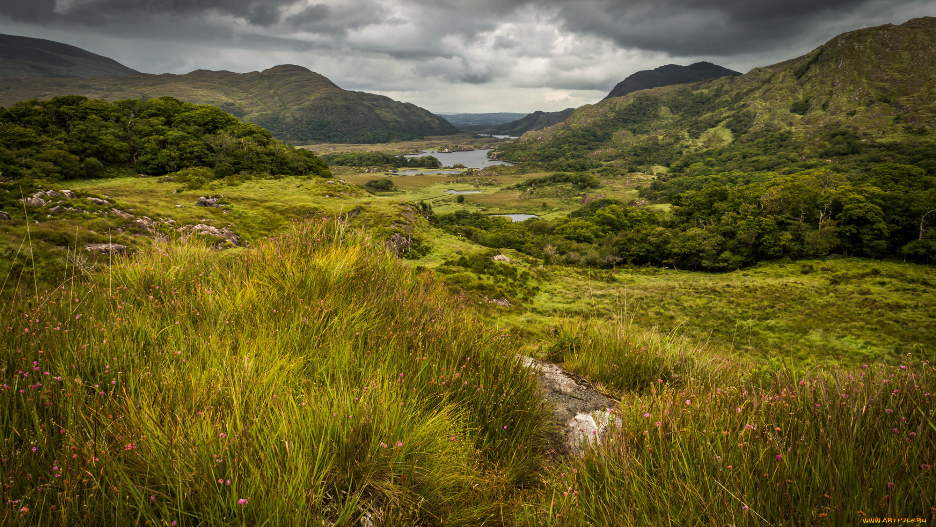 природа, пейзажи, простор