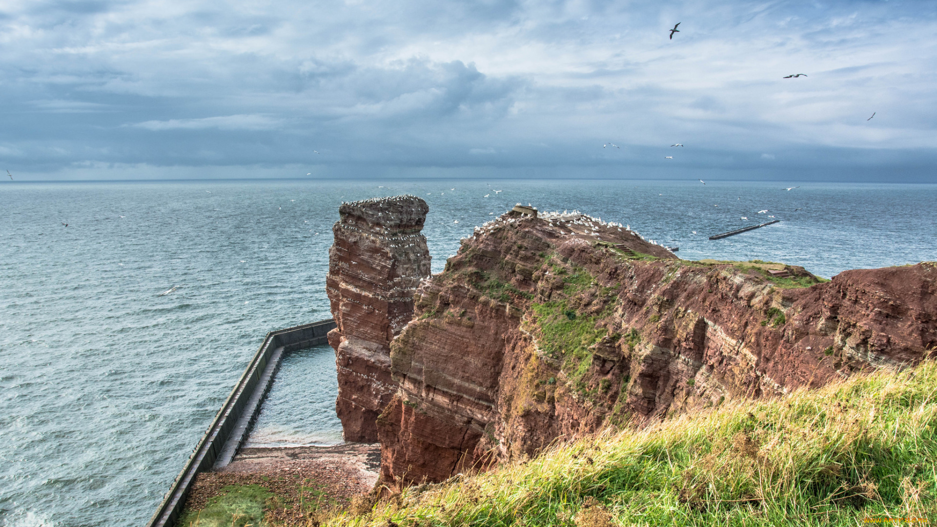 природа, побережье, простор