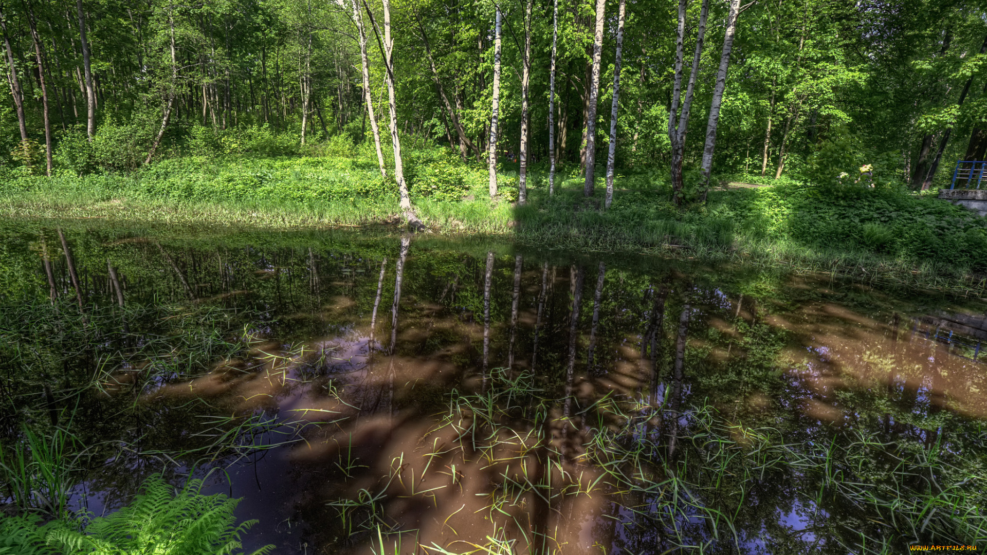 природа, реки, озера, простор