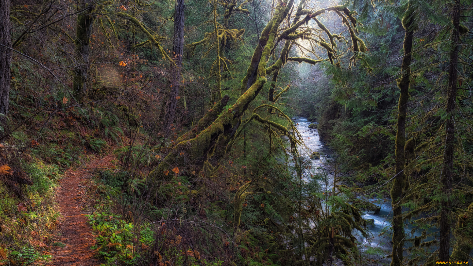 природа, реки, озера, простор