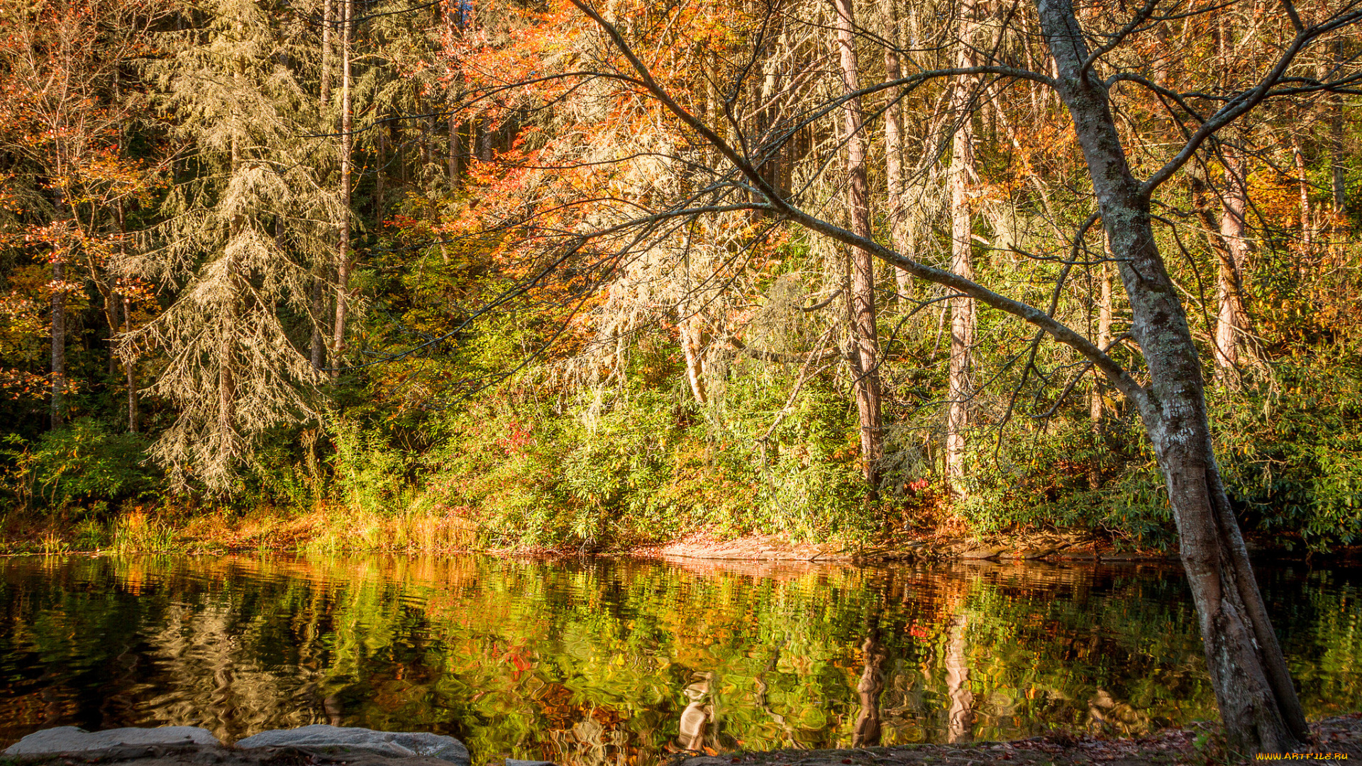 природа, реки, озера, простор