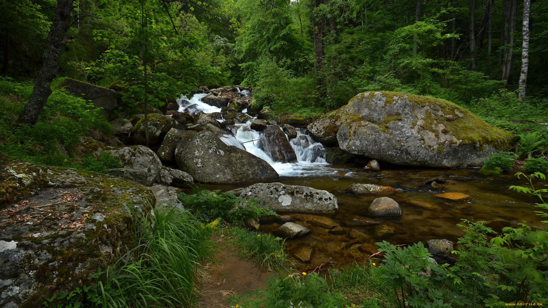 природа, реки, озера, простор