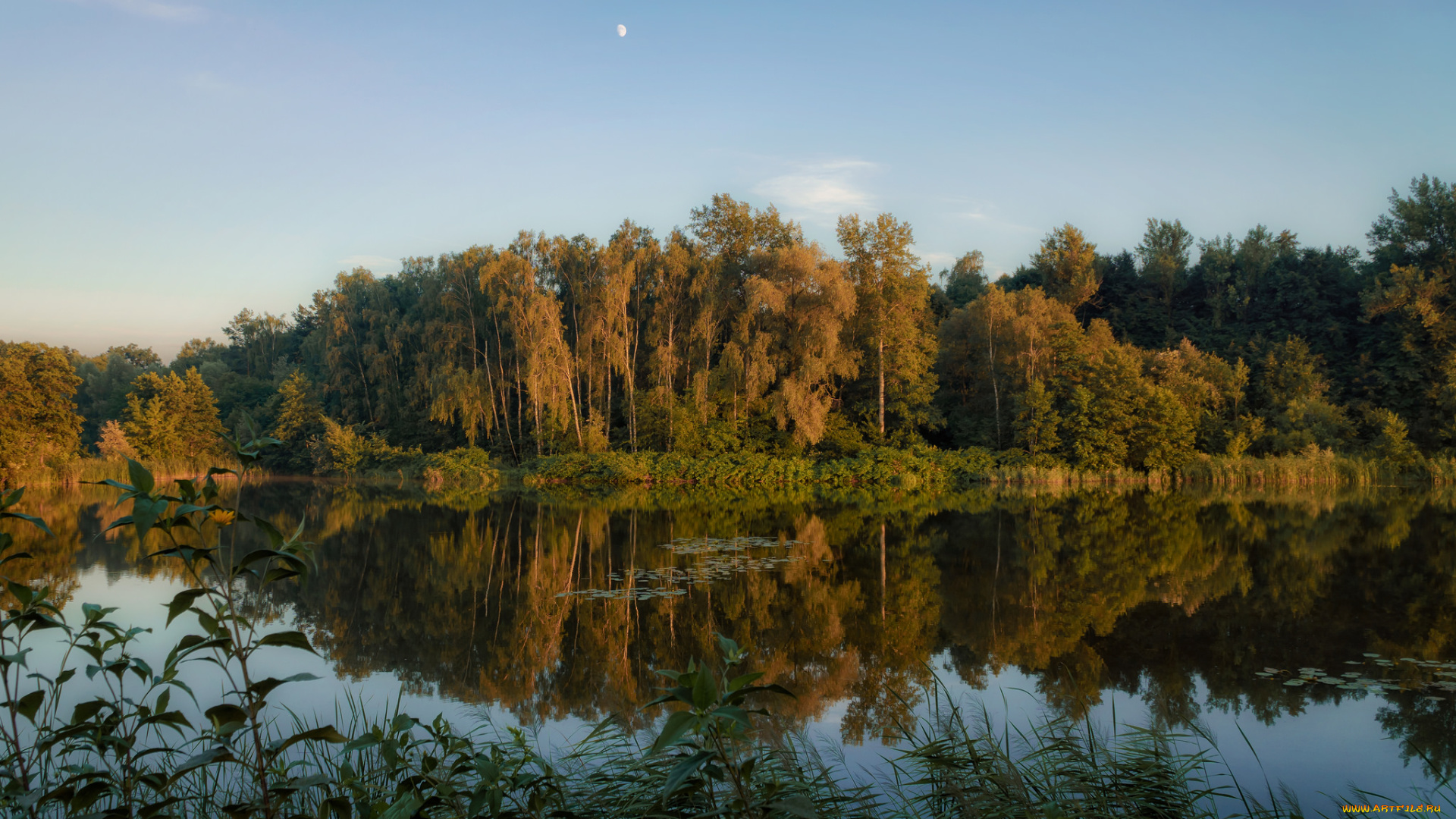 природа, реки, озера, простор