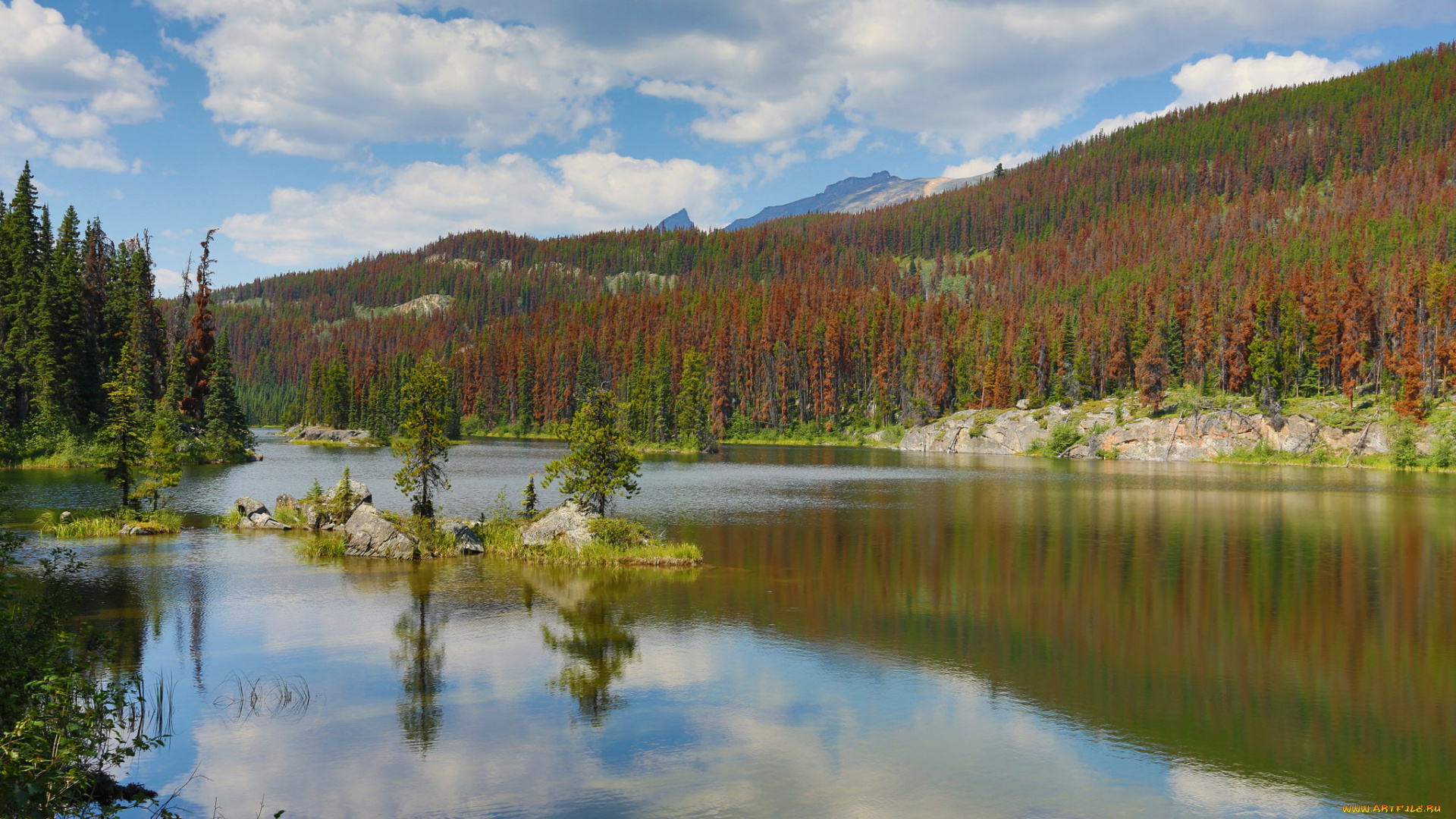 природа, реки, озера, простор