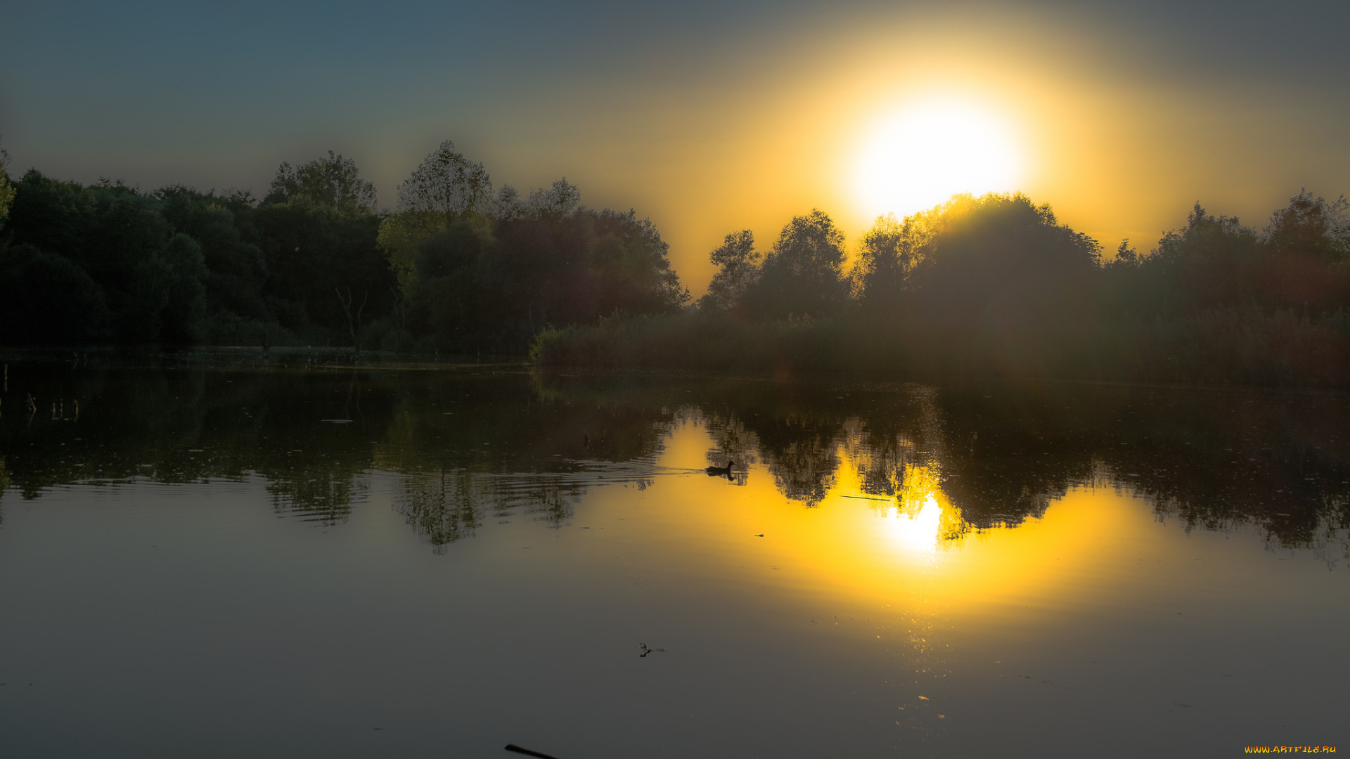 природа, восходы, закаты, простор