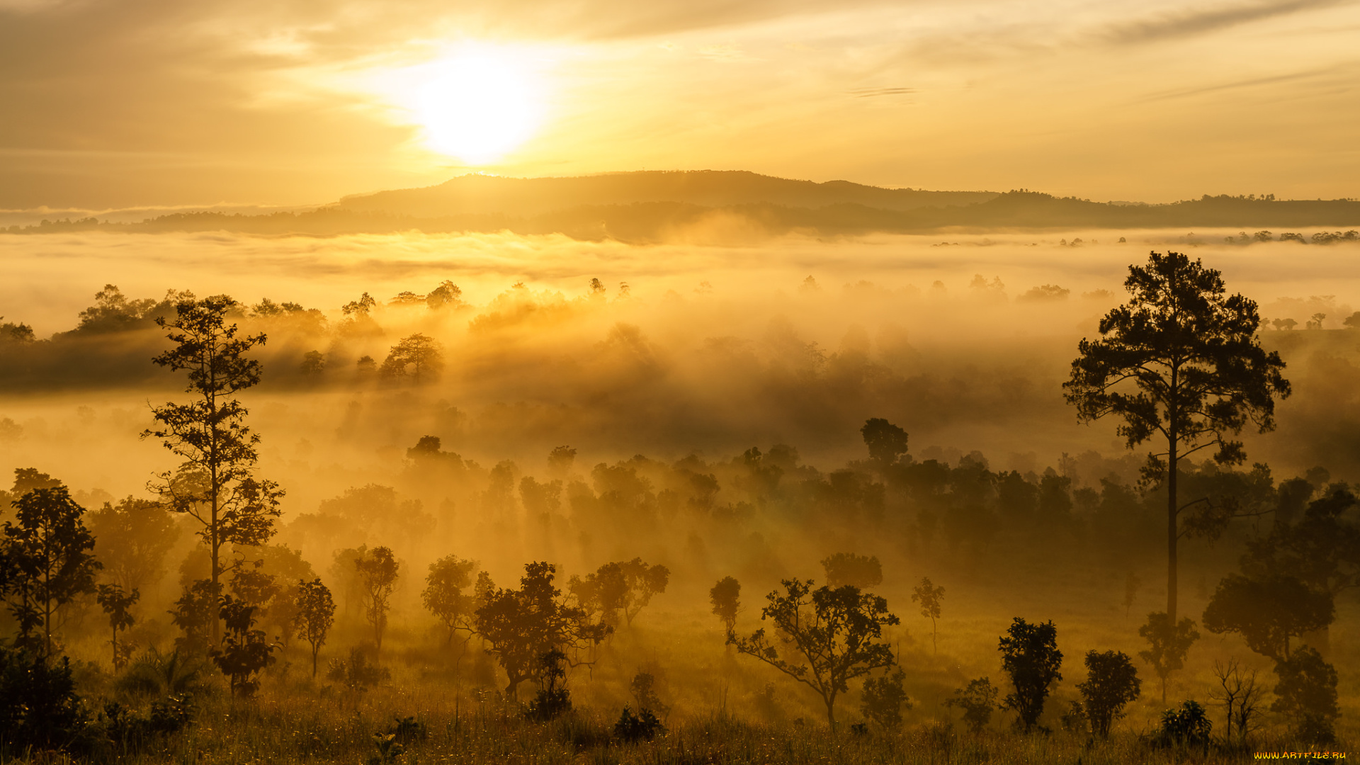 природа, восходы, закаты, простор