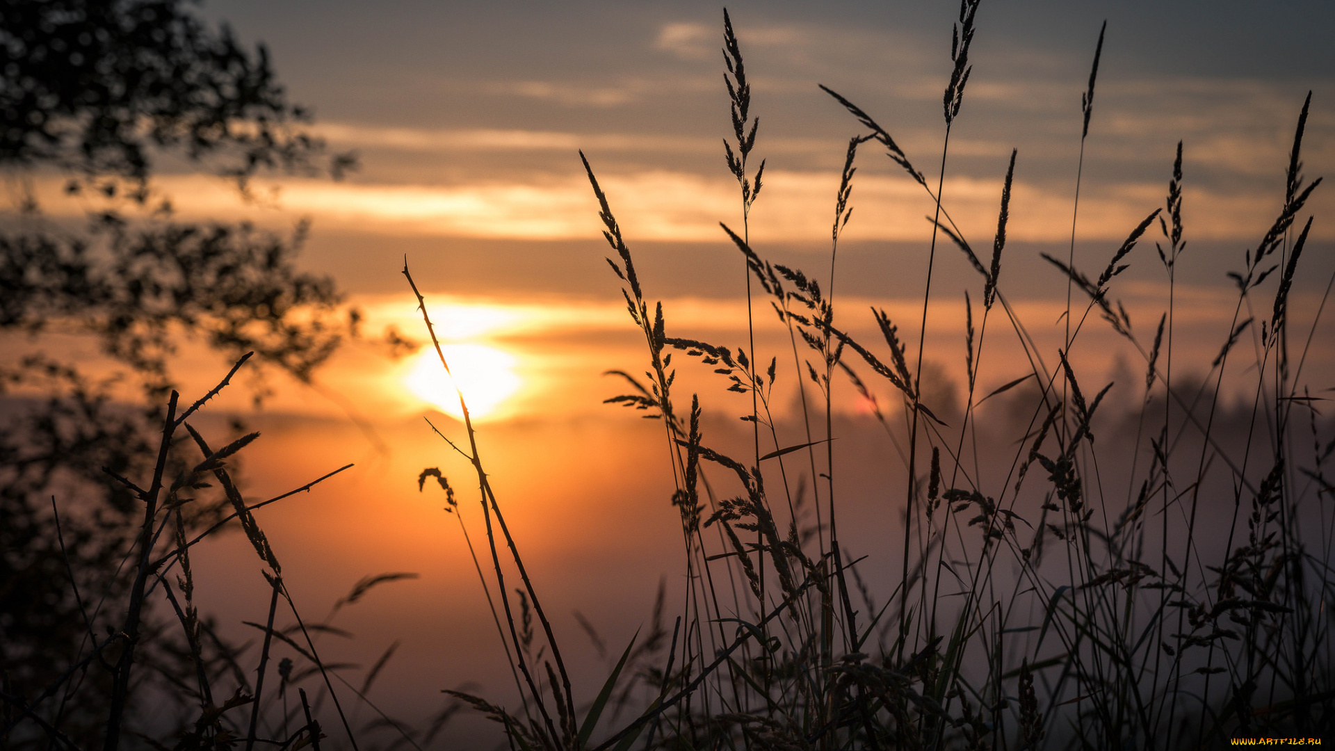 природа, восходы, закаты, простор