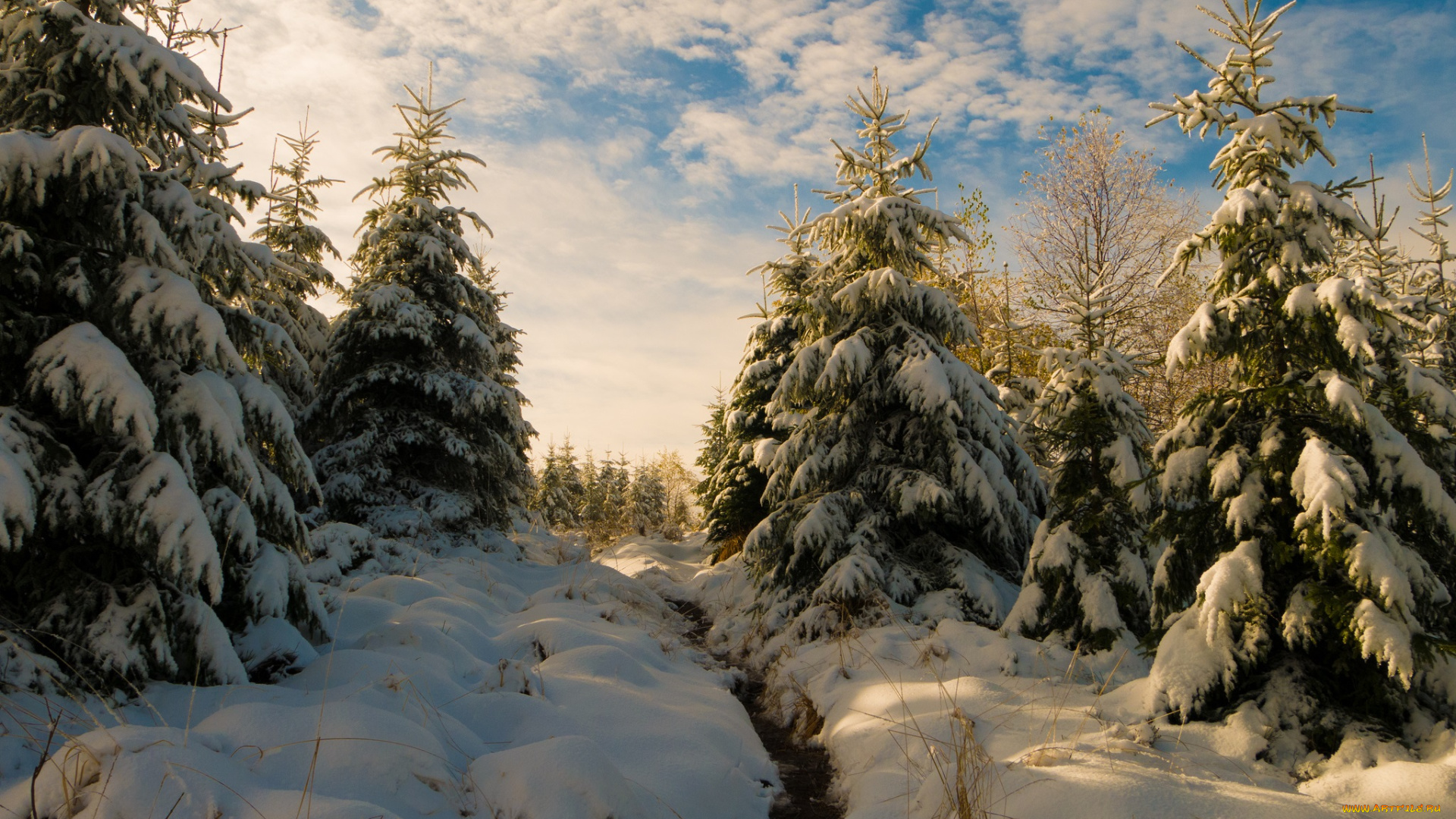 природа, зима, простор