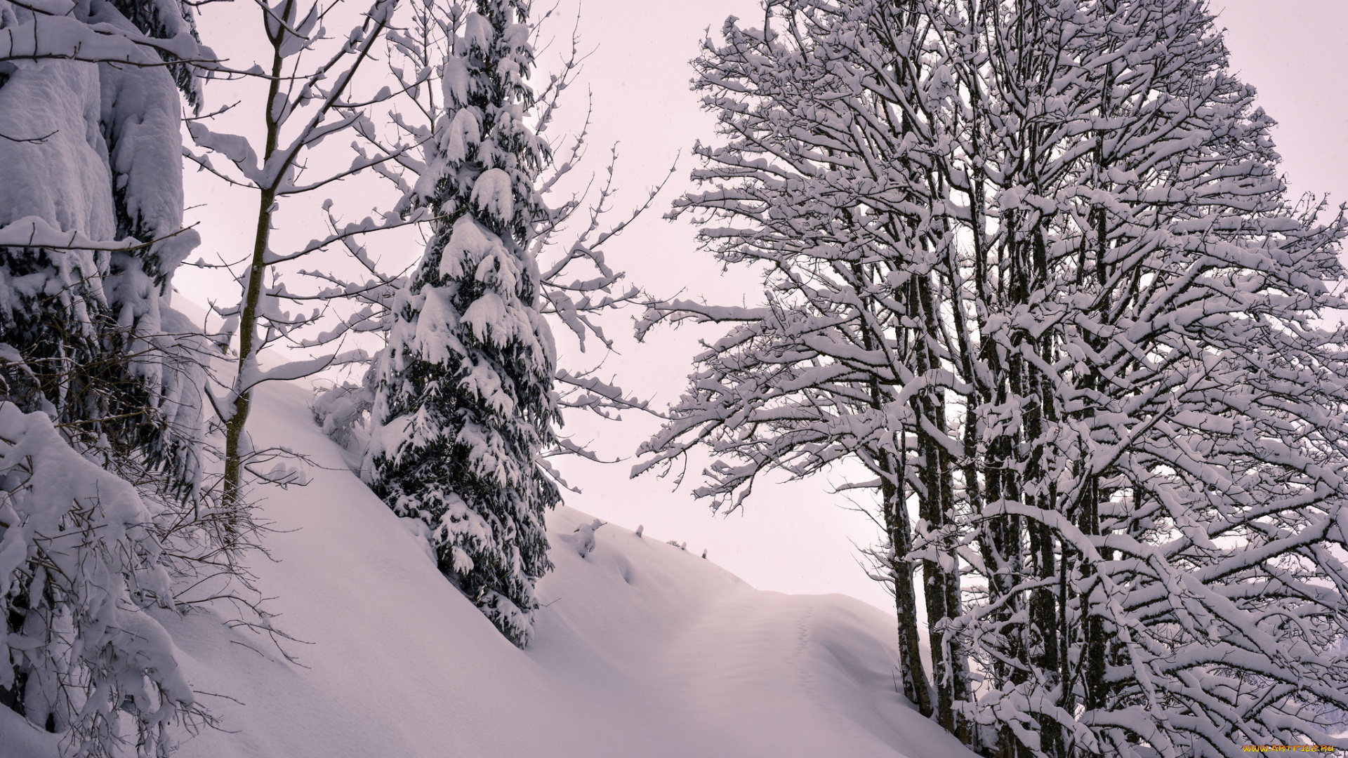 природа, зима, простор