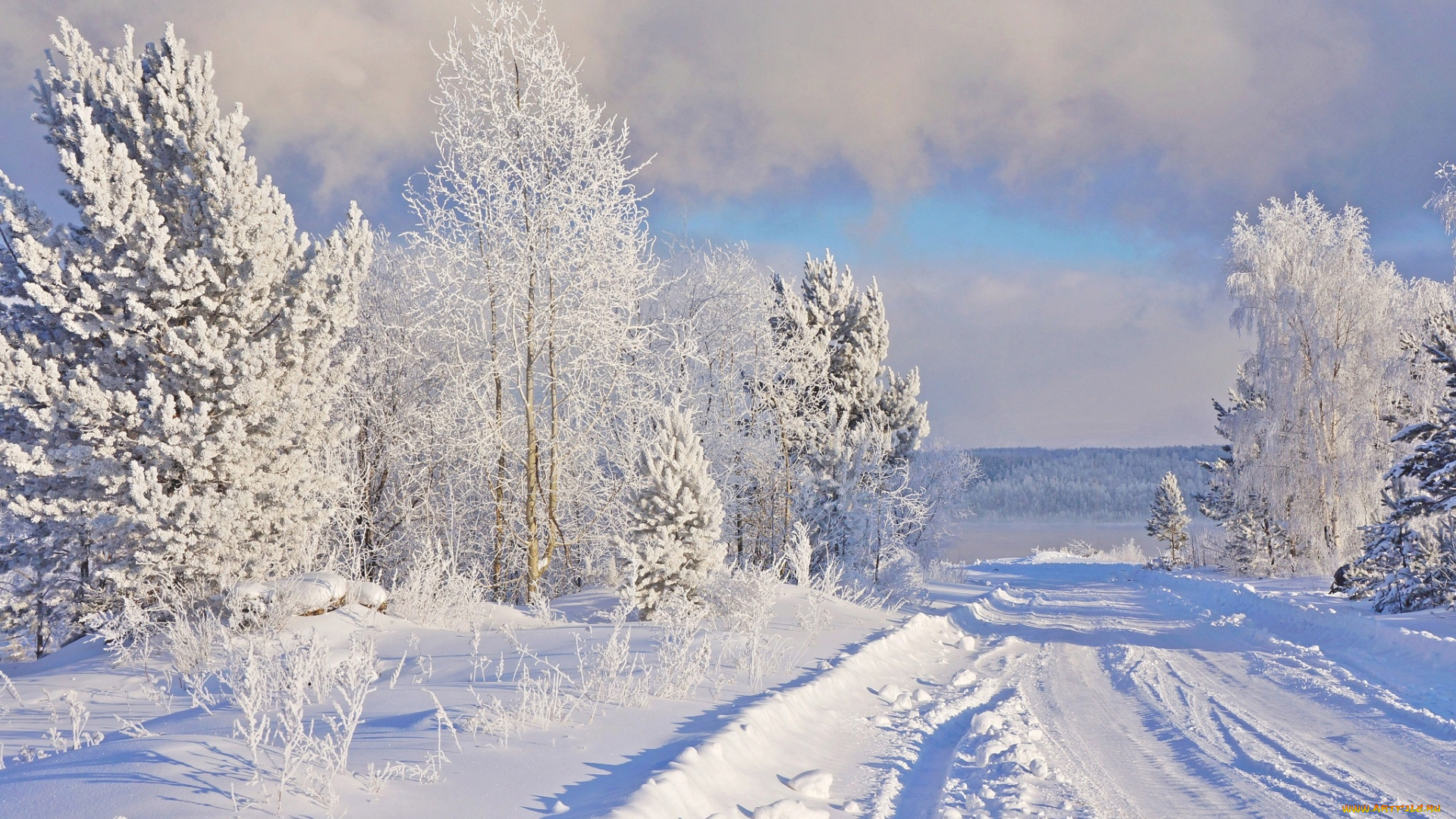 природа, зима, снег, дорога, иней, мороз