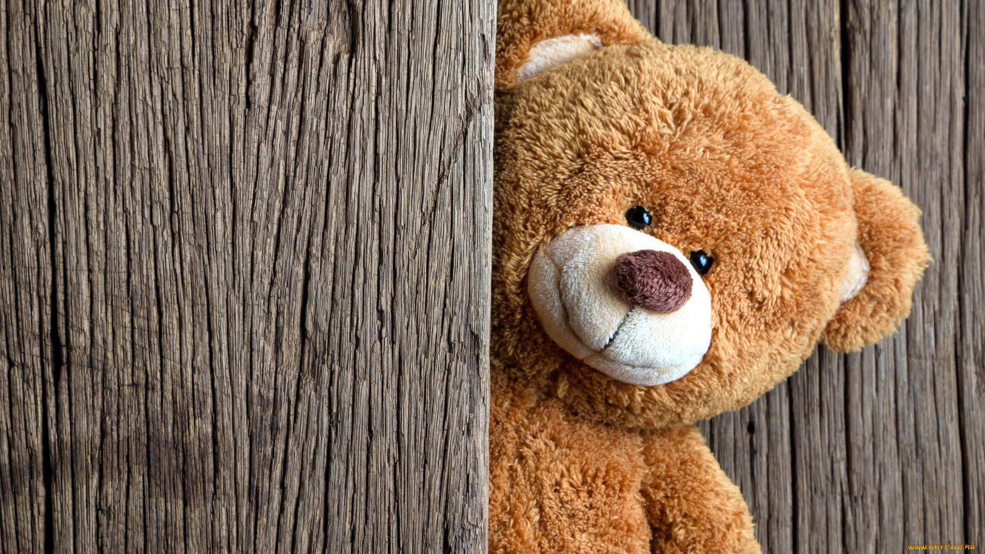 разное, игрушки, медвежонок