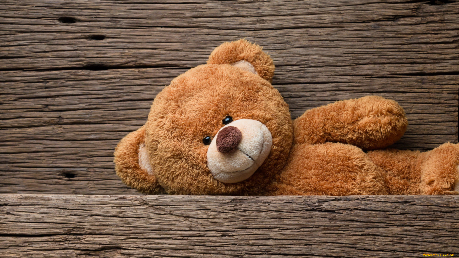 разное, игрушки, медвежонок