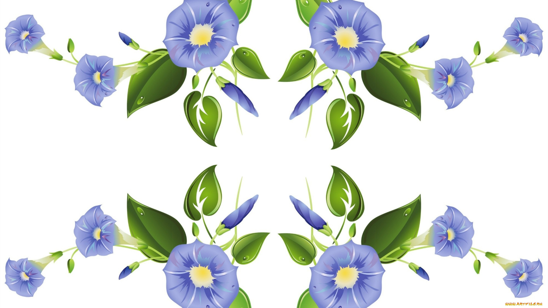 векторная, графика, цветы, , flowers, фон, цветы