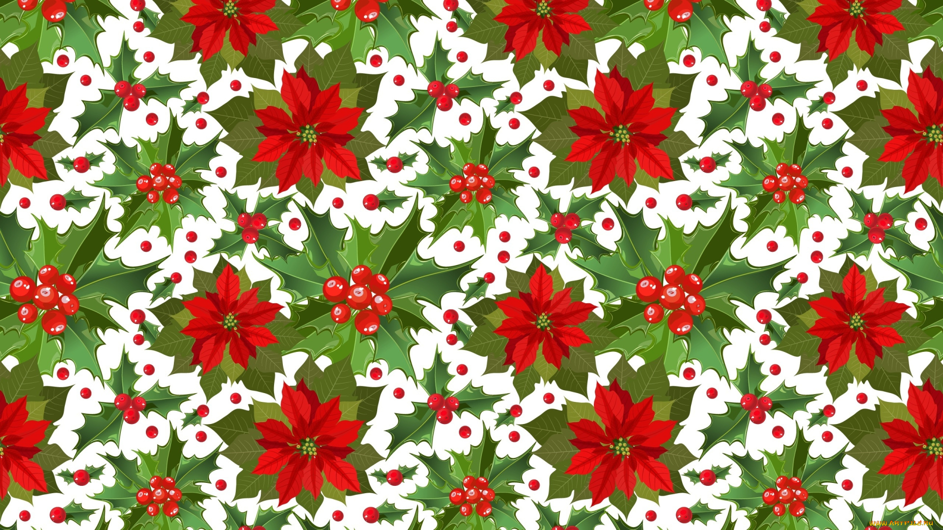 векторная, графика, цветы, , flowers, фон, цветы