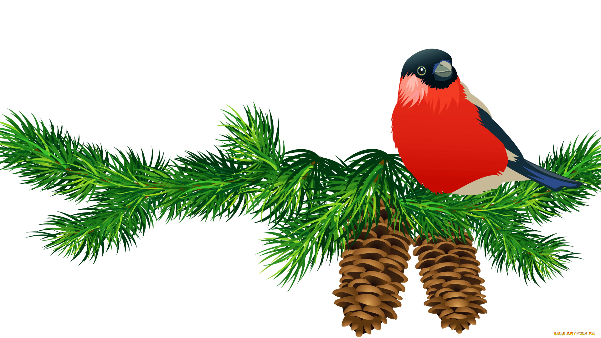 векторная, графика, птицы, , птицы, птица, ветки