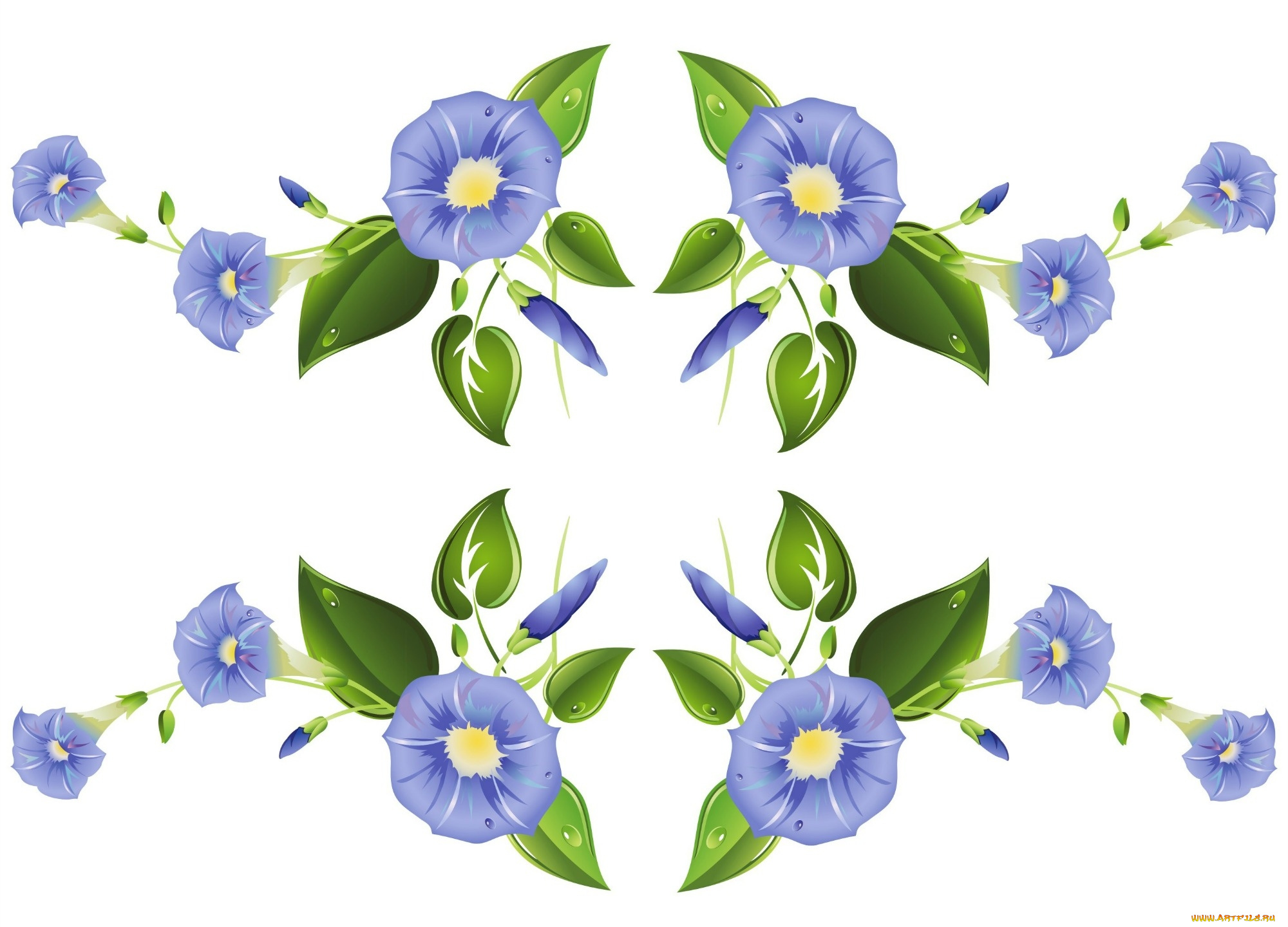 векторная, графика, цветы, , flowers, фон, цветы