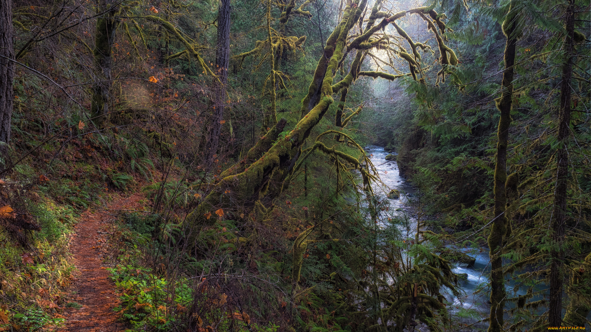 природа, реки, озера, простор