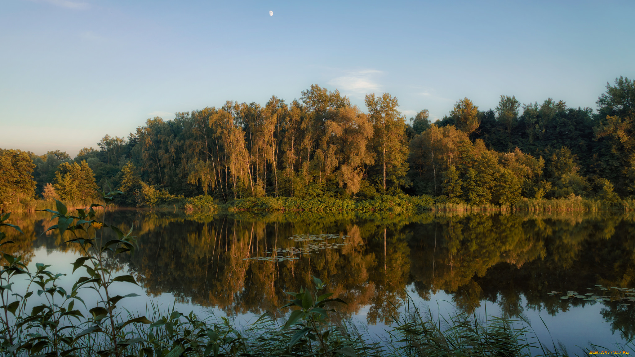 природа, реки, озера, простор