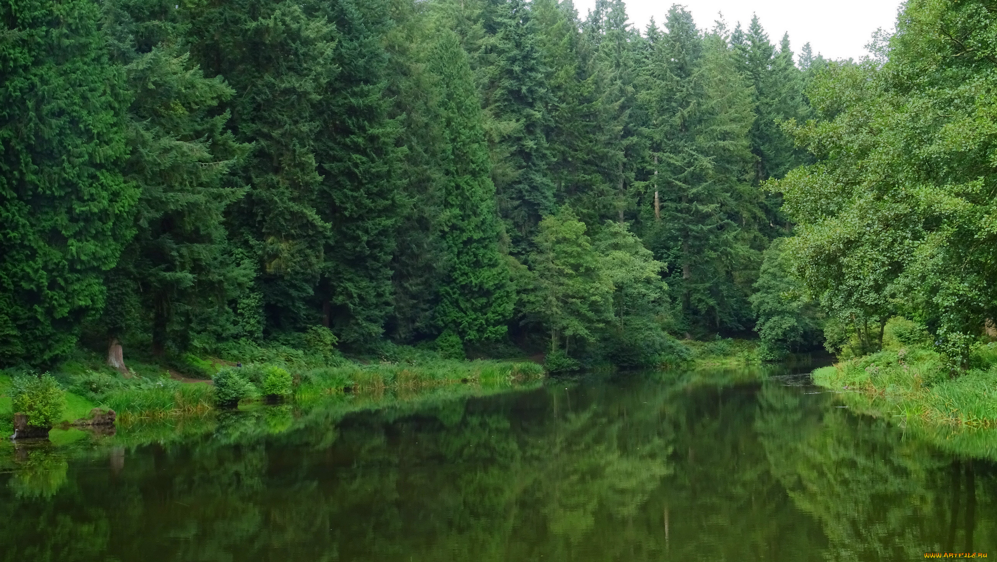 природа, реки, озера, простор