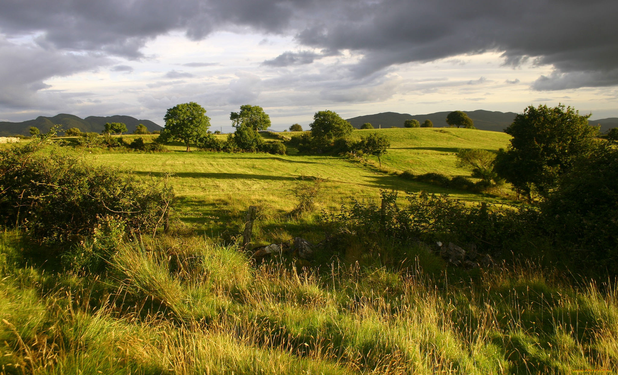 природа, пейзажи, простор