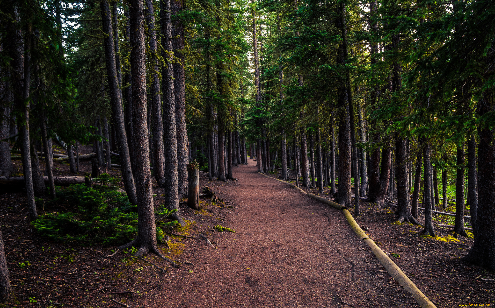 природа, дороги, простор