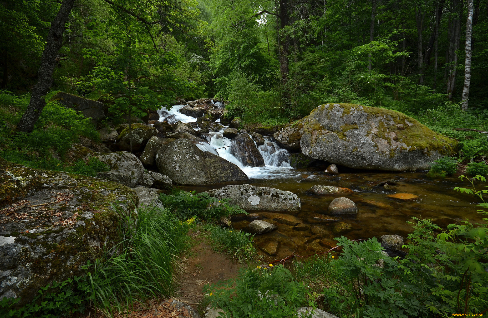 природа, реки, озера, простор