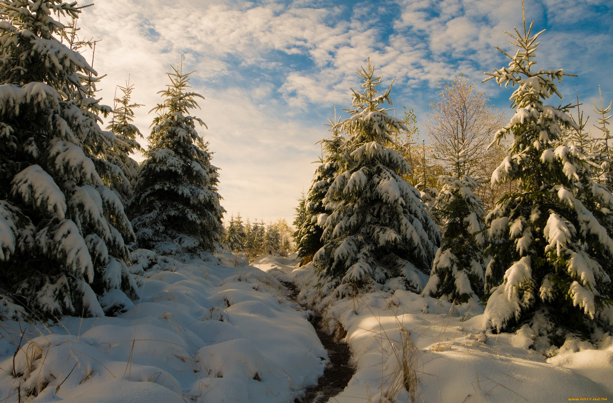 природа, зима, простор