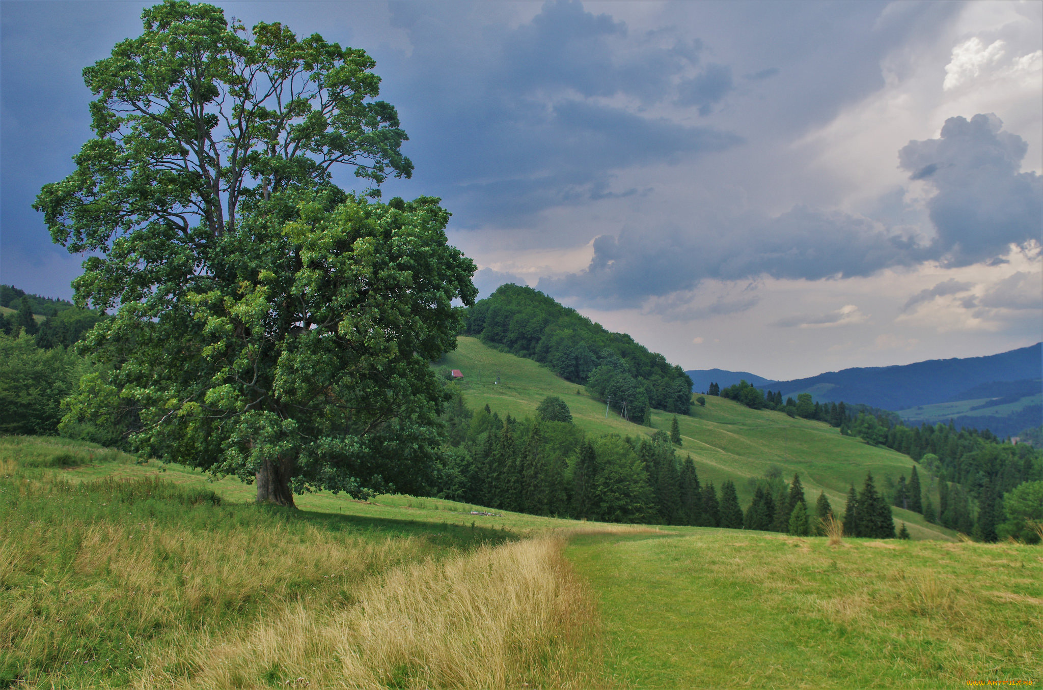 природа, пейзажи, простор
