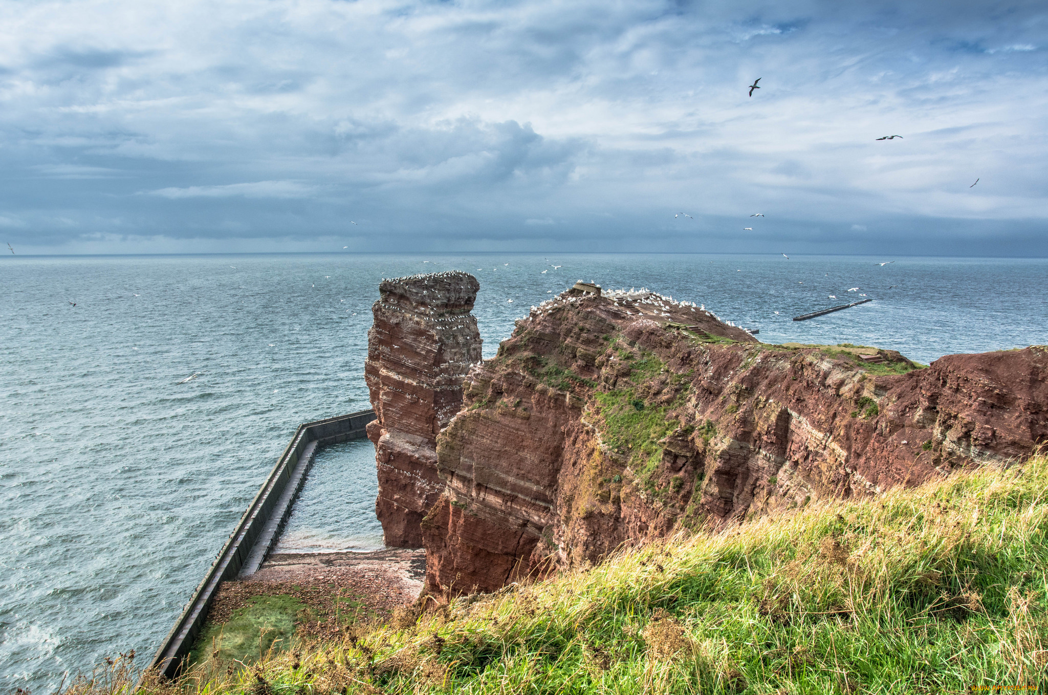 природа, побережье, простор