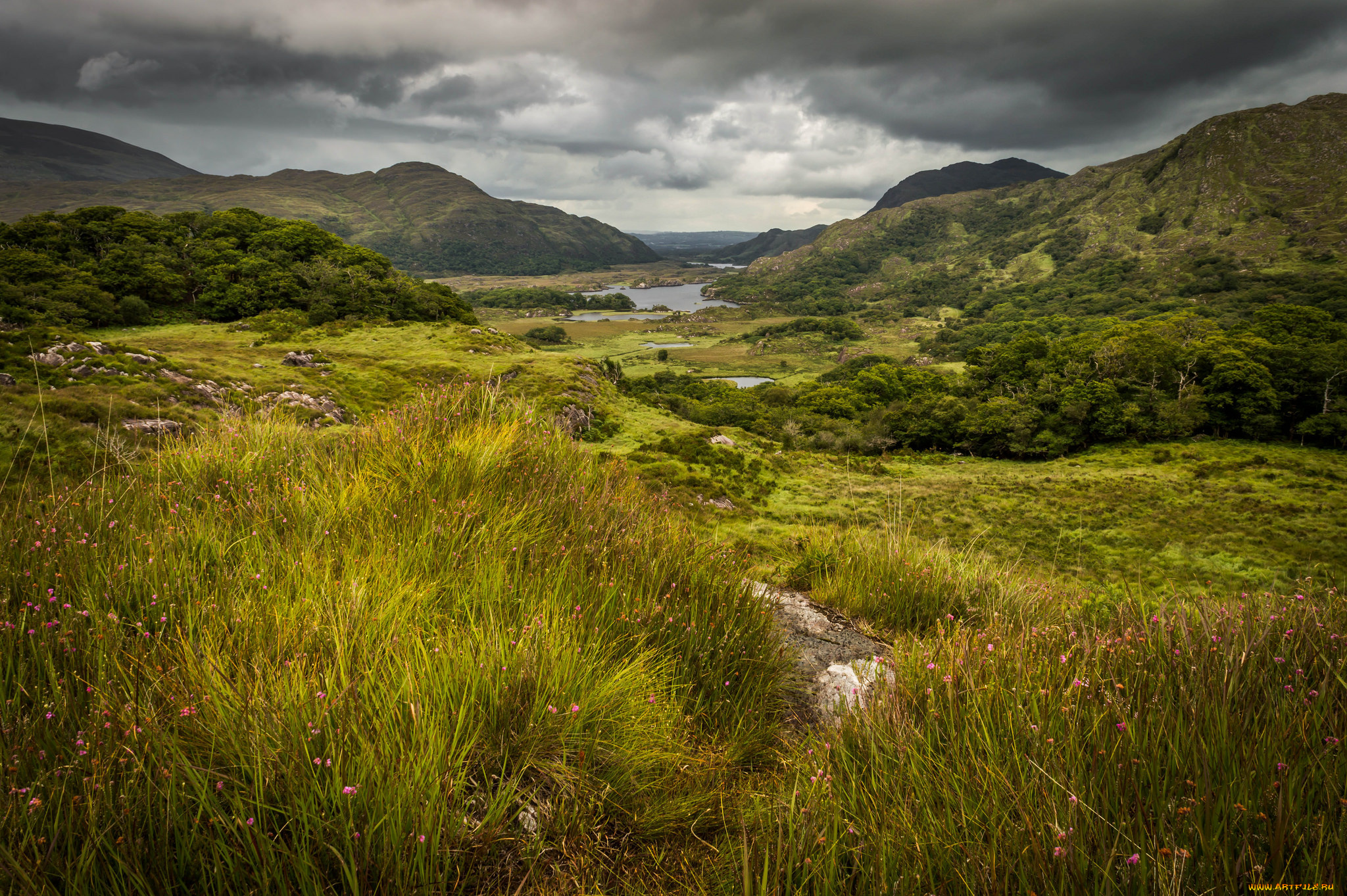 природа, пейзажи, простор