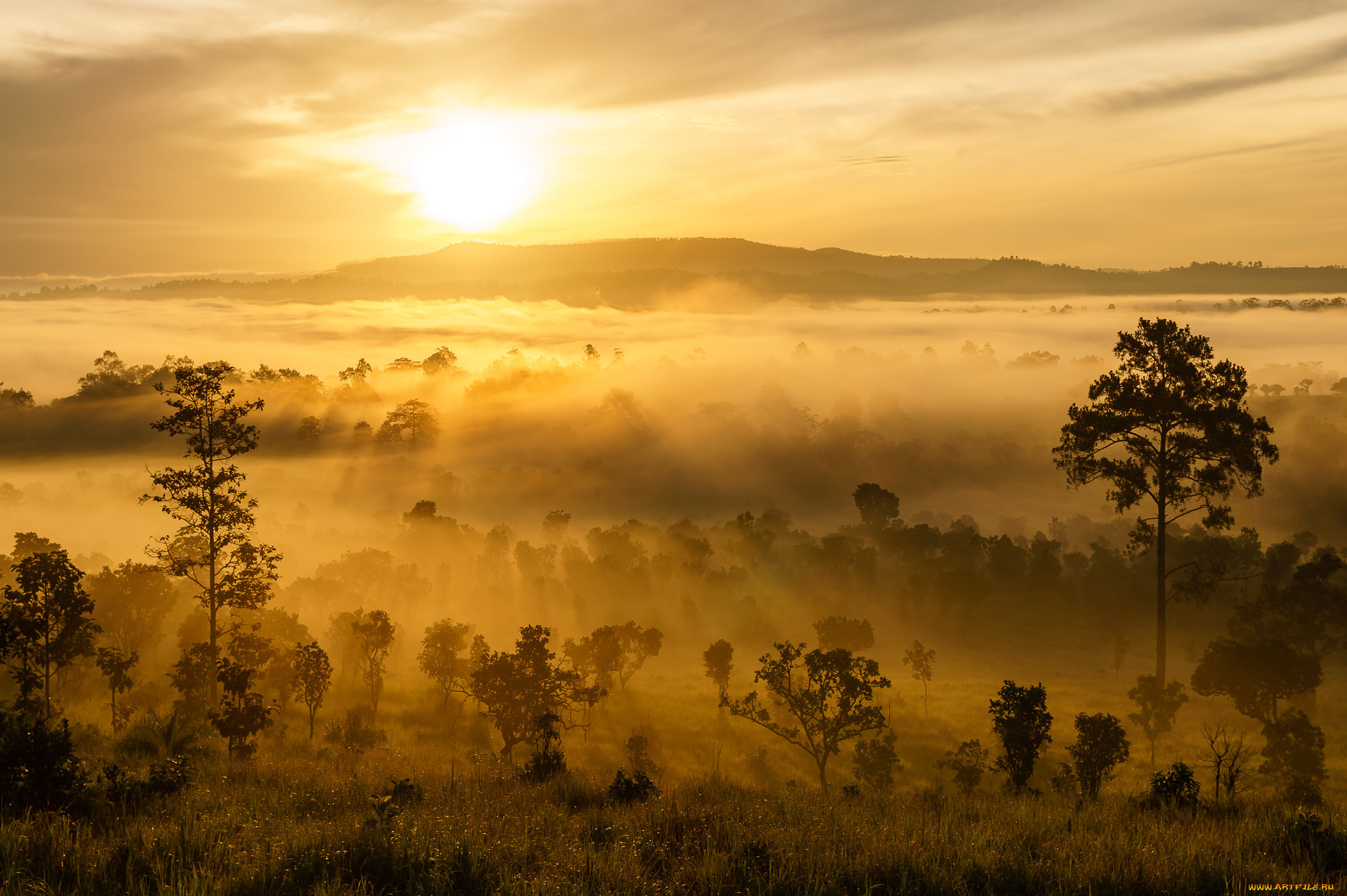 природа, восходы, закаты, простор