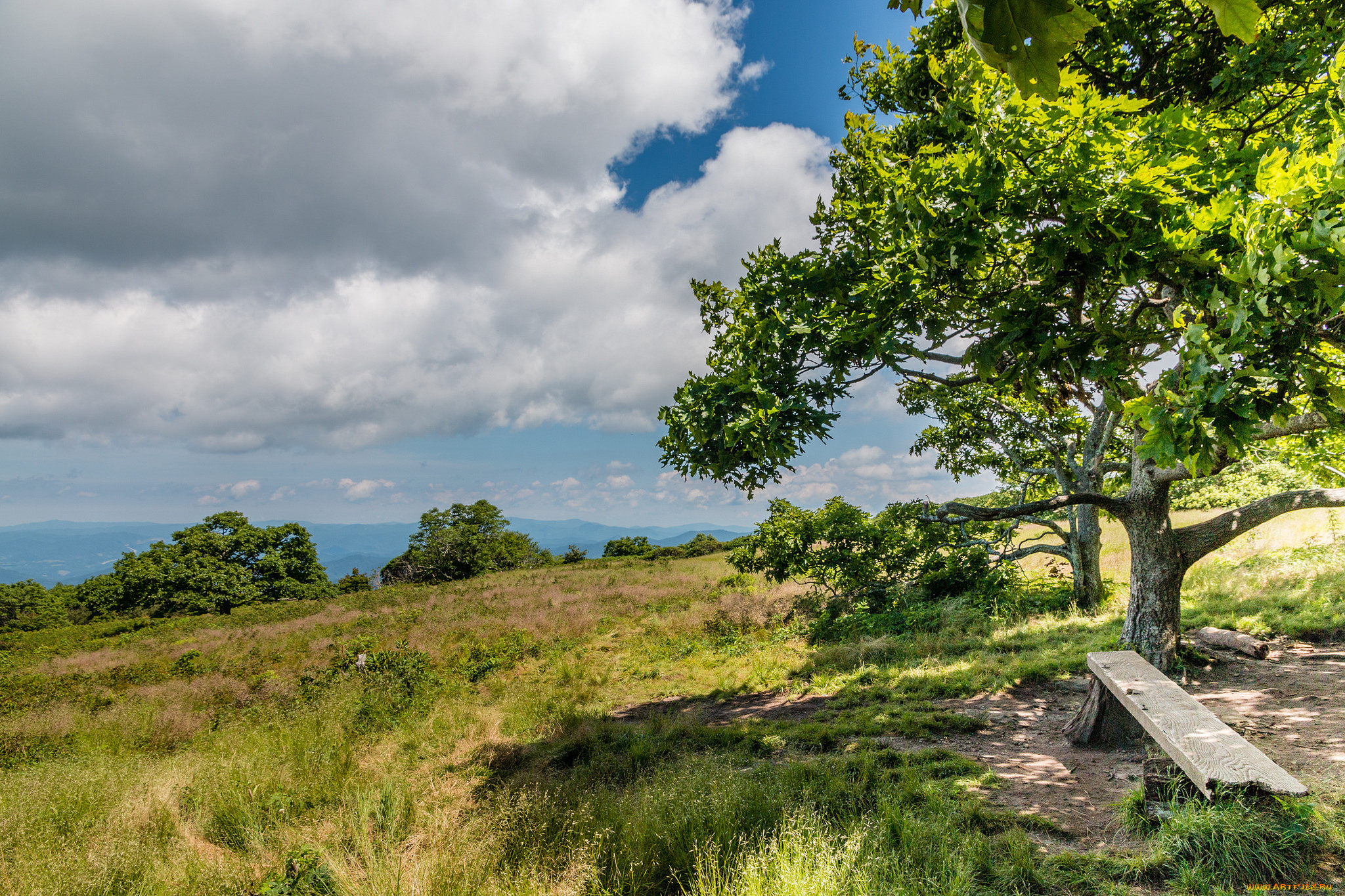 природа, пейзажи, простор