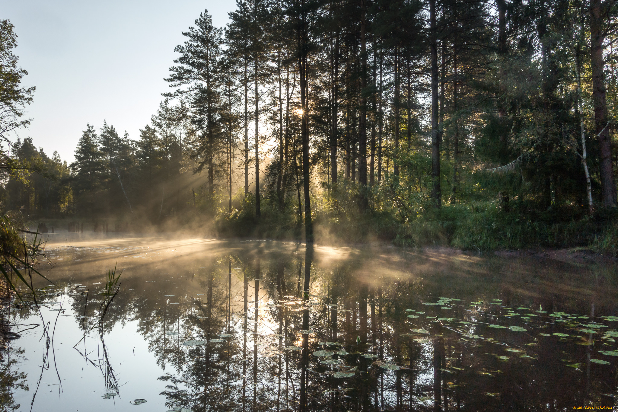 природа, реки, озера, простор